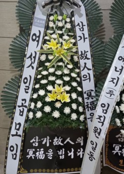 배송사진