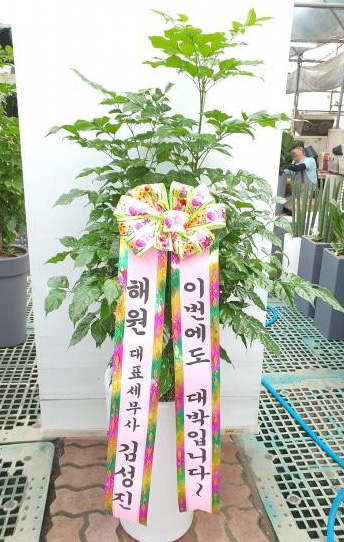 업로드 이미지