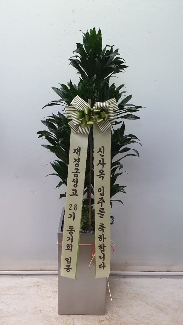 업로드 이미지