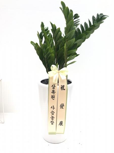 업로드 이미지