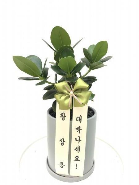 업로드 이미지
