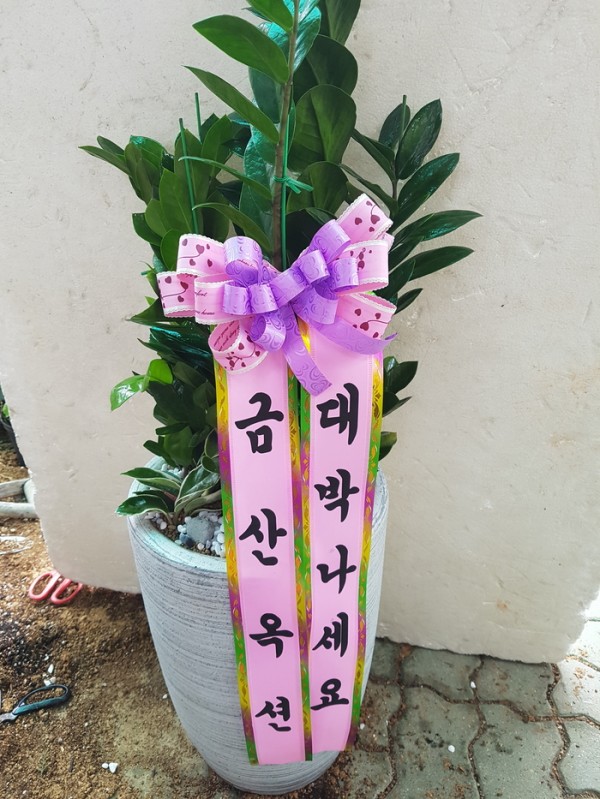 업로드 이미지