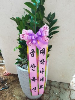 배송사진