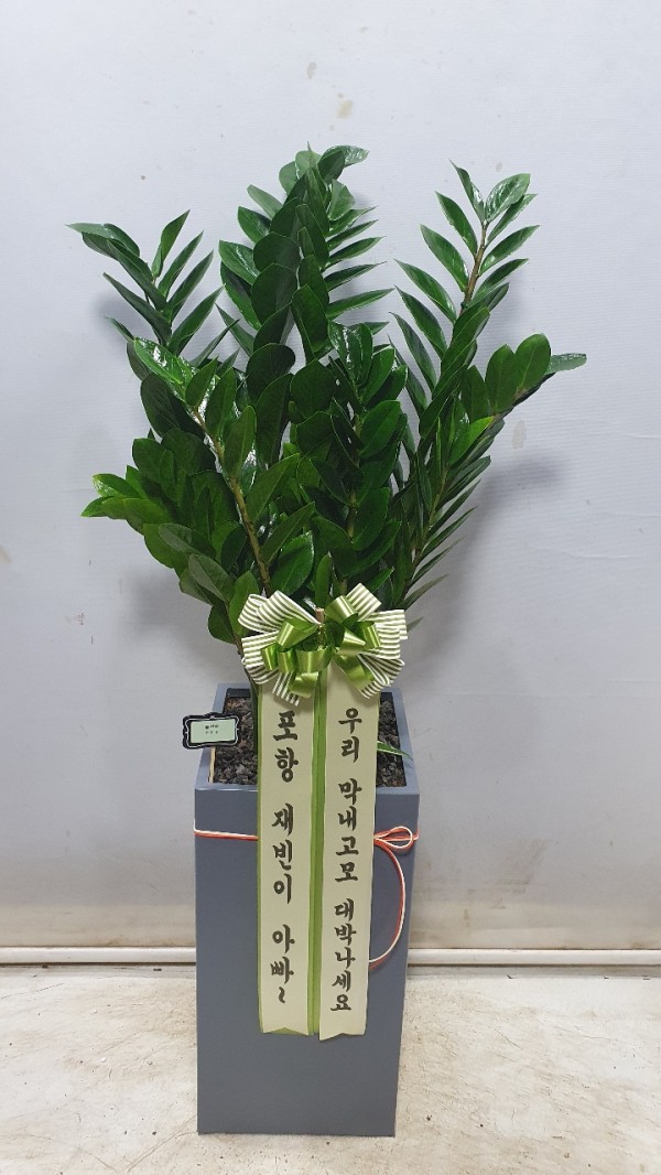 업로드 이미지