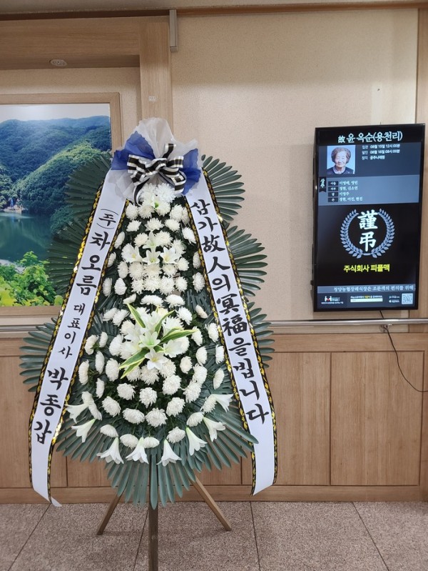 업로드 이미지