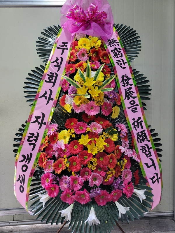 업로드 이미지