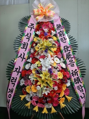 업로드 이미지