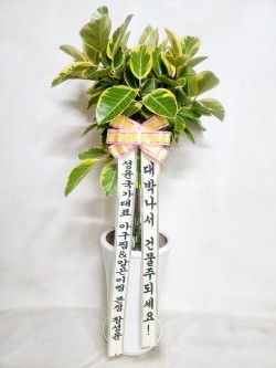 배송사진