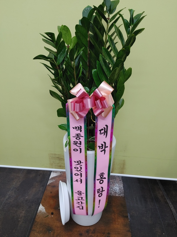 업로드 이미지