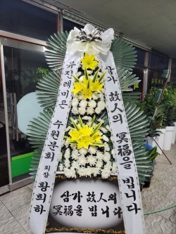 배송사진