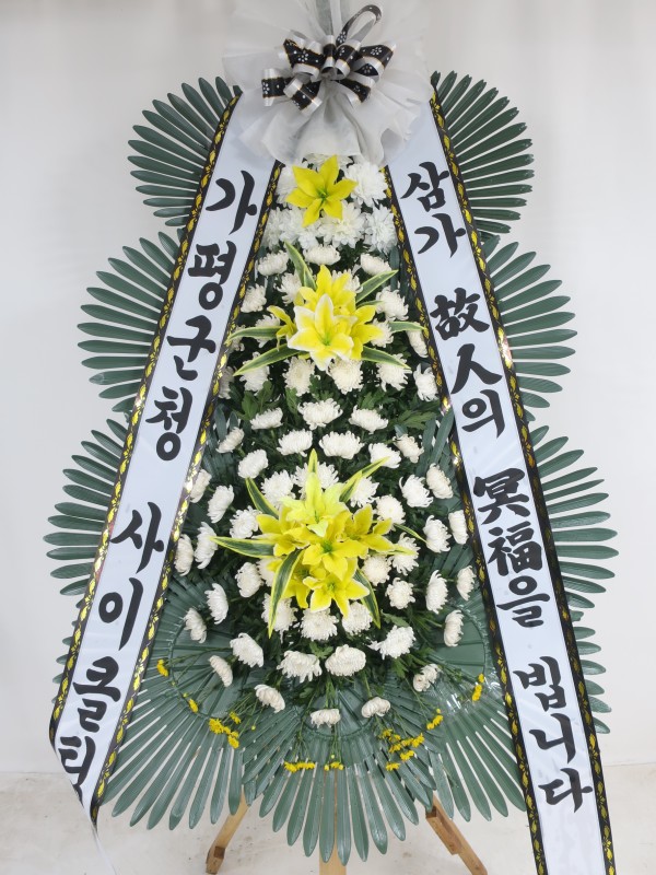 업로드 이미지