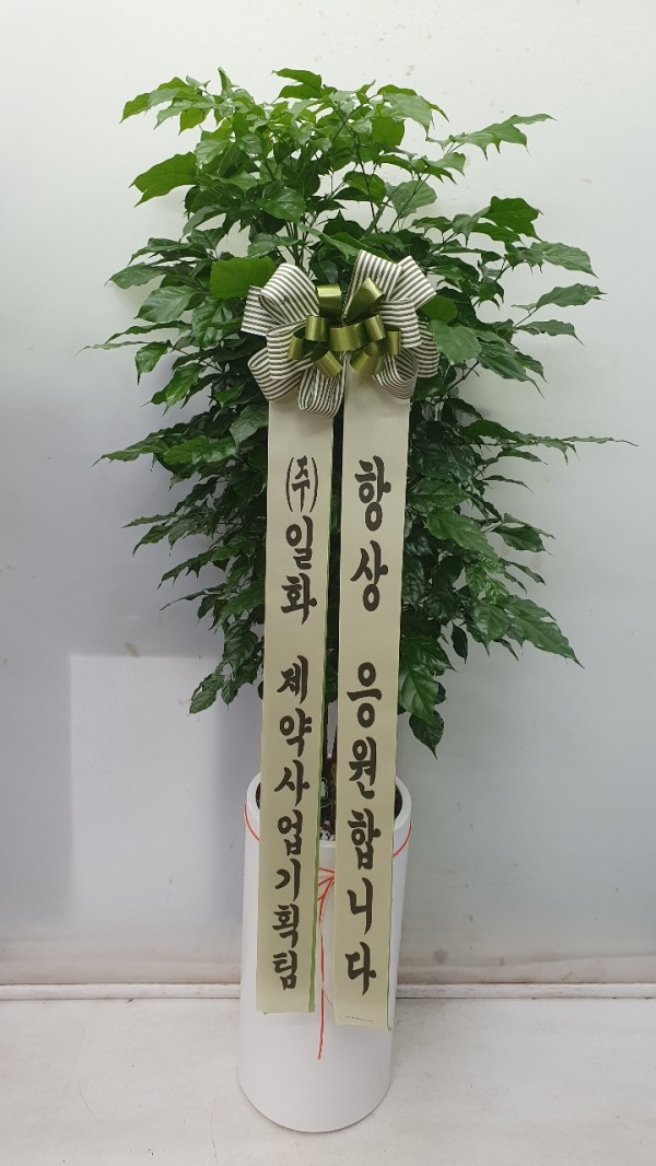업로드 이미지