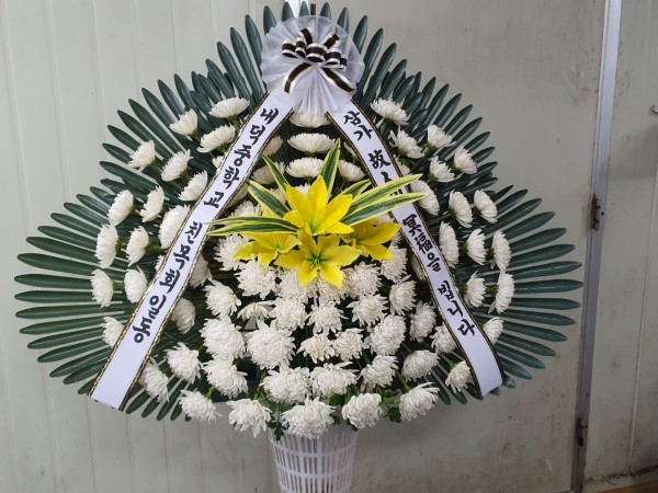 업로드 이미지