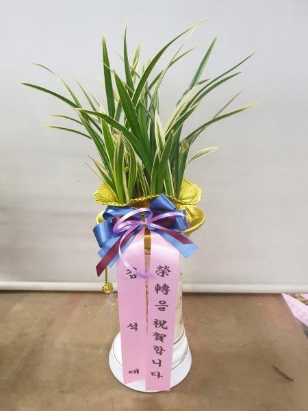 업로드 이미지