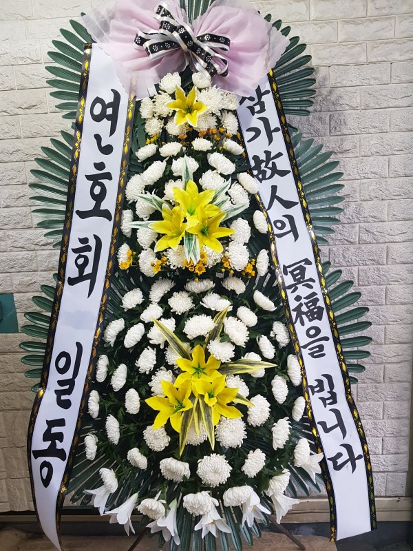 업로드 이미지