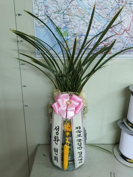업로드 이미지