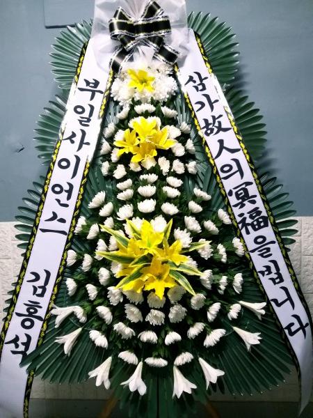 업로드 이미지