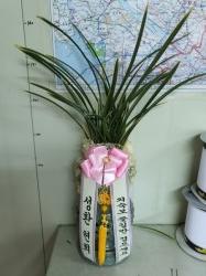 배송사진