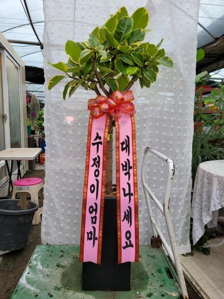 업로드 이미지