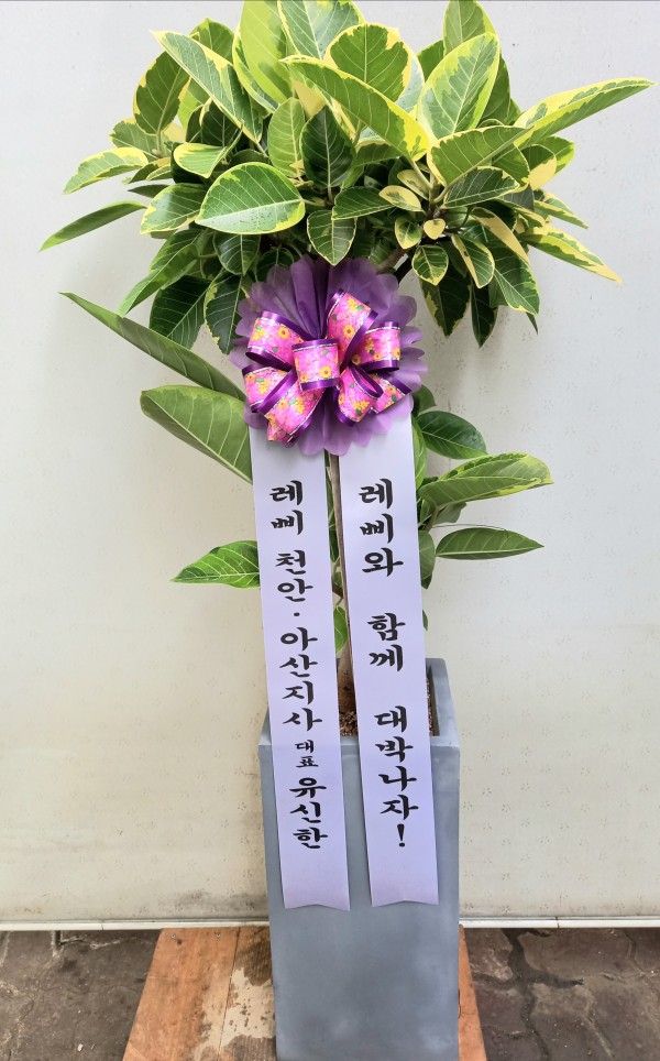 업로드 이미지