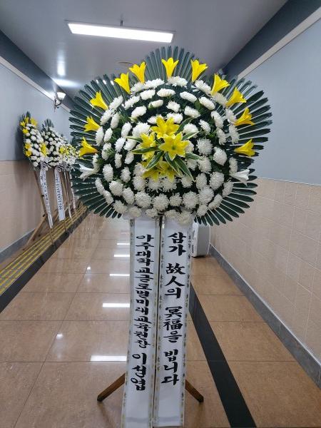 업로드 이미지