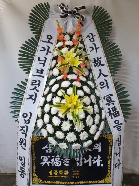 업로드 이미지