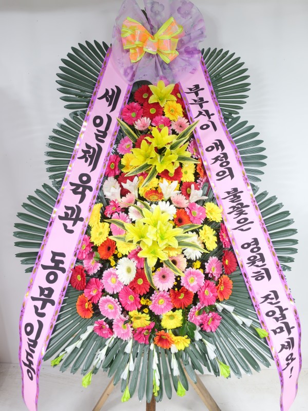 업로드 이미지