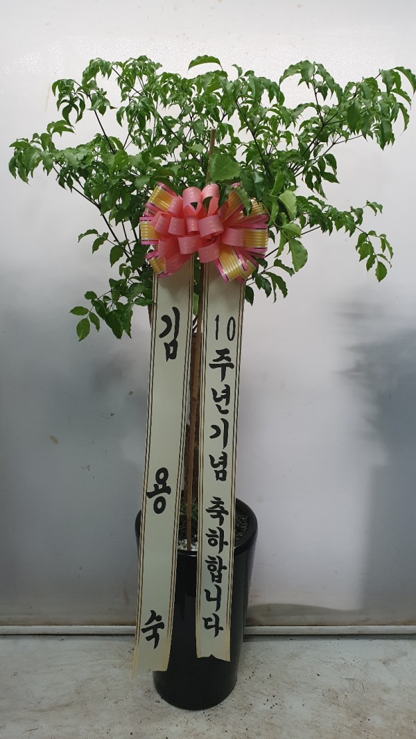 업로드 이미지