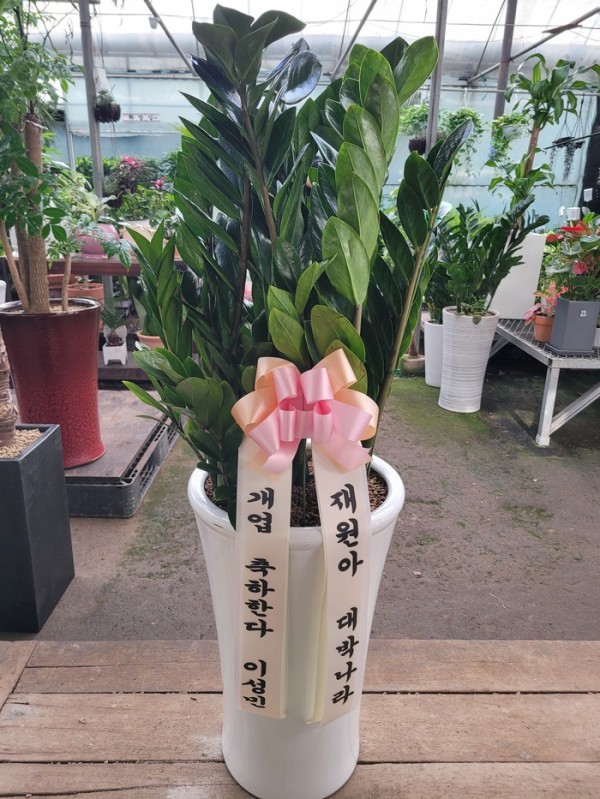 업로드 이미지