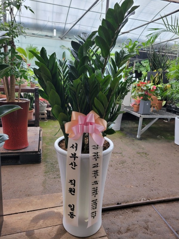 업로드 이미지