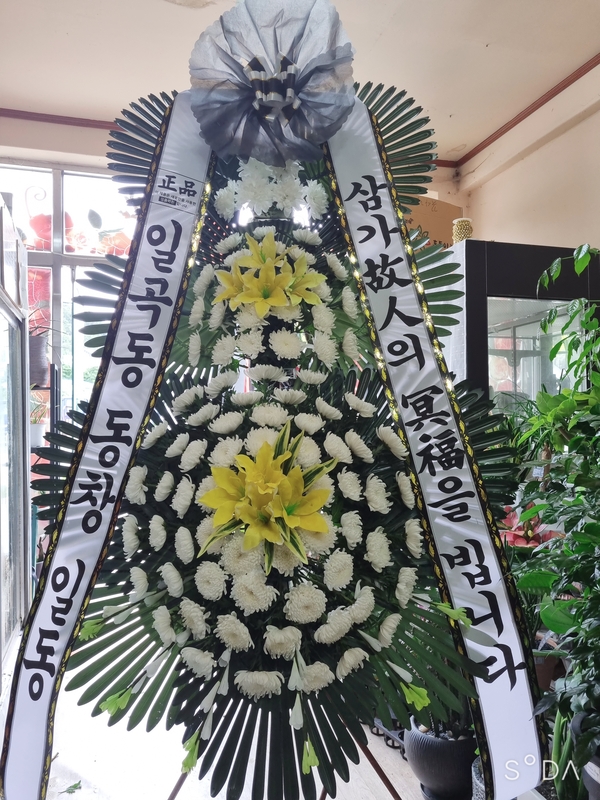 업로드 이미지