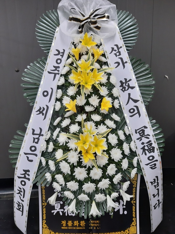 업로드 이미지