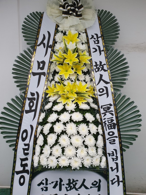 업로드 이미지