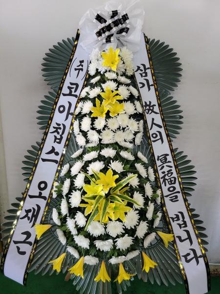 업로드 이미지