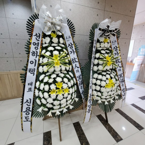 업로드 이미지