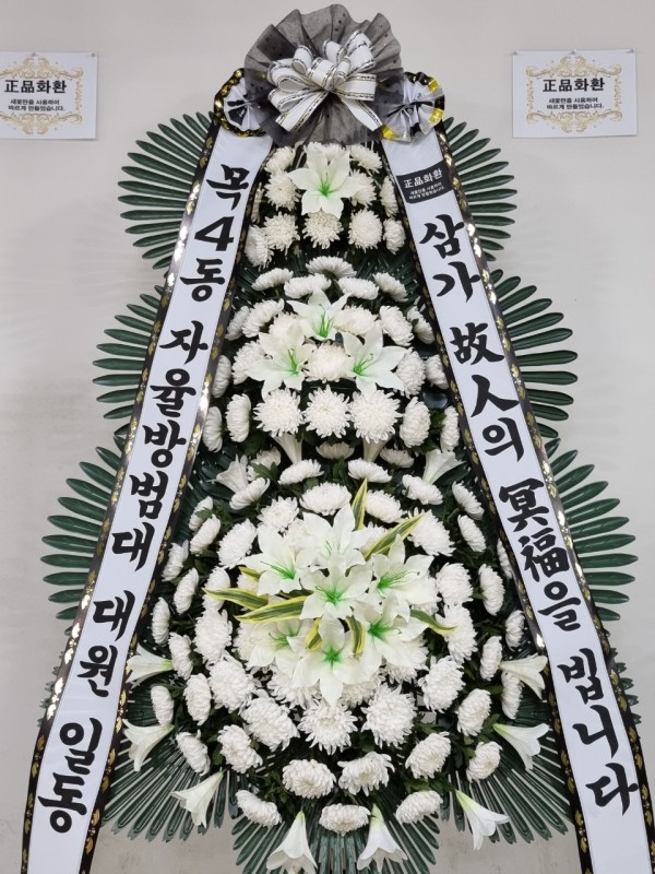 업로드 이미지