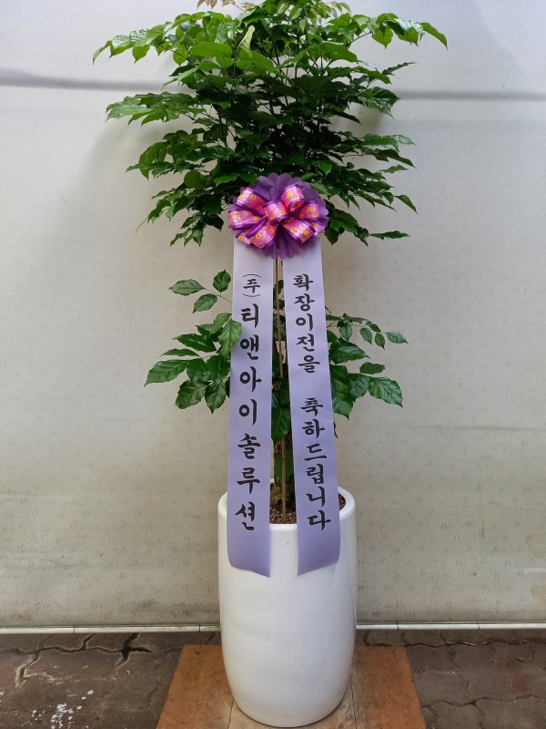 업로드 이미지