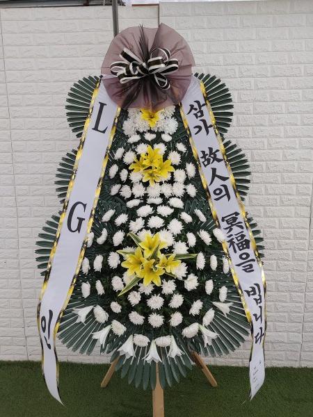 업로드 이미지