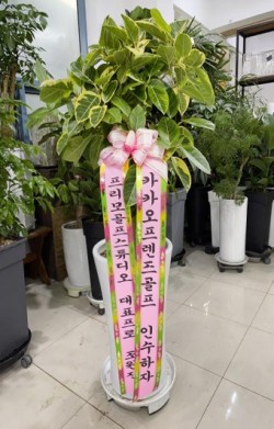 배송사진