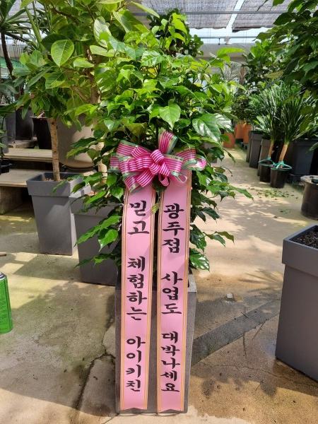 업로드 이미지