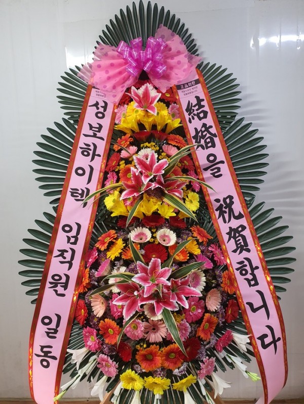 업로드 이미지