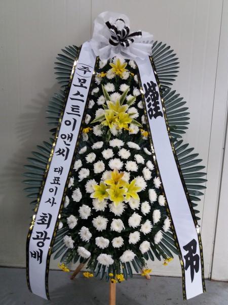 업로드 이미지
