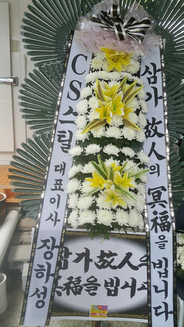 업로드 이미지