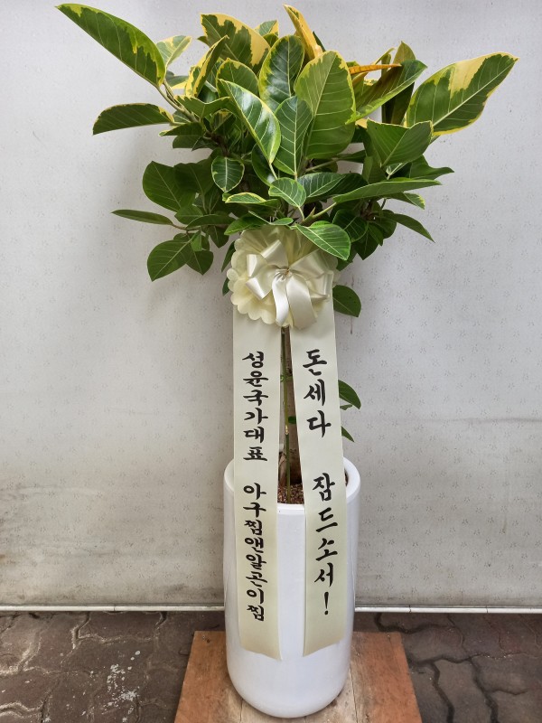 업로드 이미지
