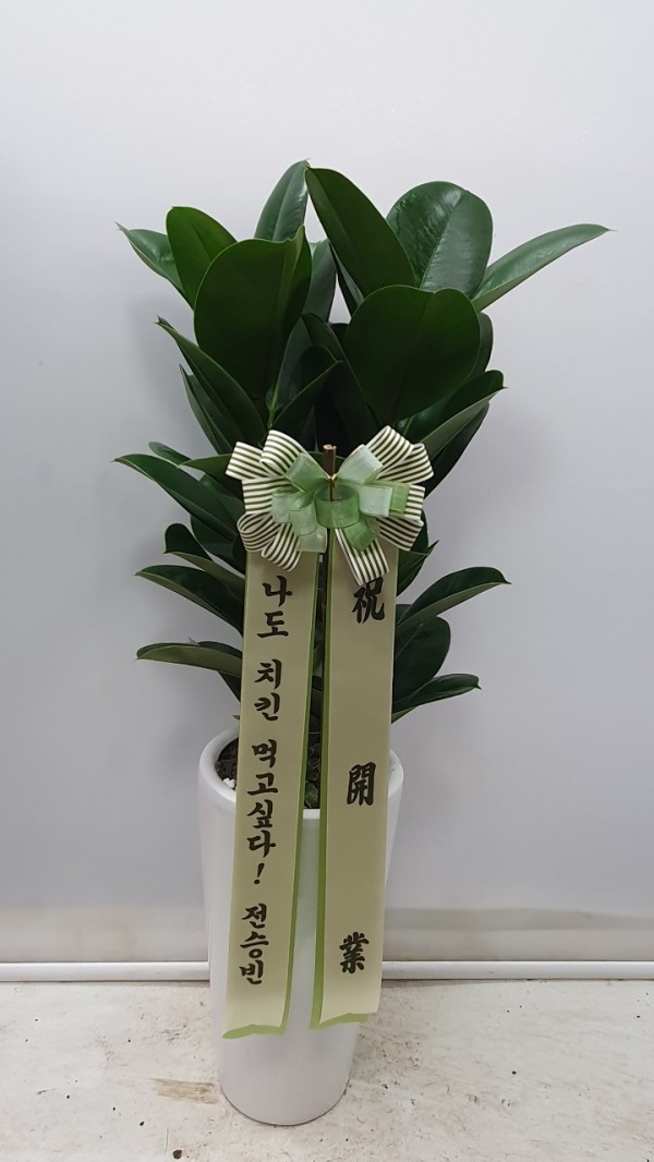 업로드 이미지
