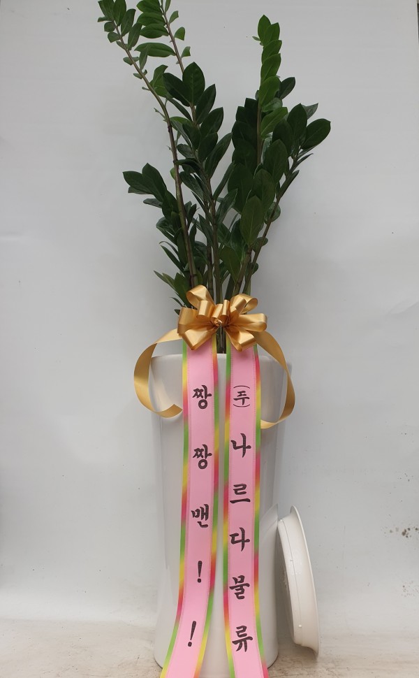 업로드 이미지