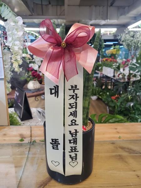업로드 이미지