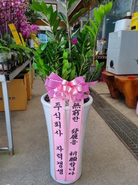 업로드 이미지