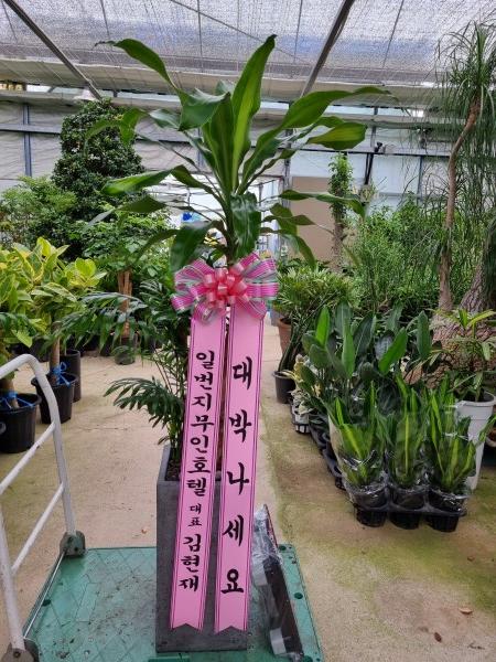 업로드 이미지