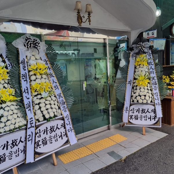업로드 이미지